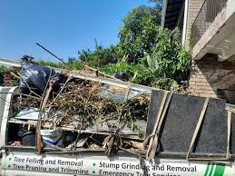 Best Residential Junk Removal  in Paulding, OH